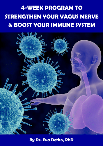 Image "4-Week Program to Strengthen Your Vagus Nerve & Boost Your Immune System"