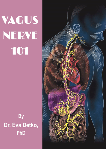 Image "Vagus Nerve 101" ebook