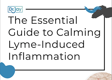 Image "The Essential Guide to Calming Lyme-Induced Inflammation" eGuide.