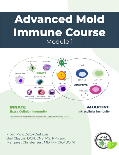 image "Advanced Mold Immune Course"