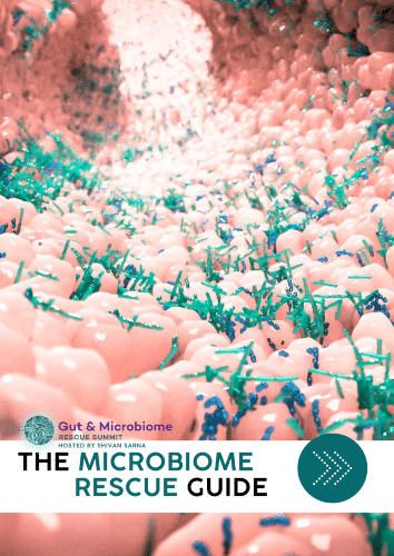 image "Microbiome Rescue" eGuide