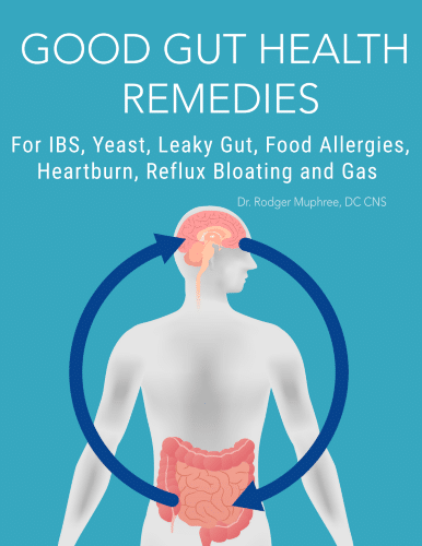 Image "Good Gut Health Remedies" eBook