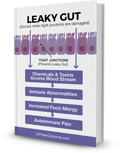 Image:"The Leaky Gut Solutions Guide" eBook