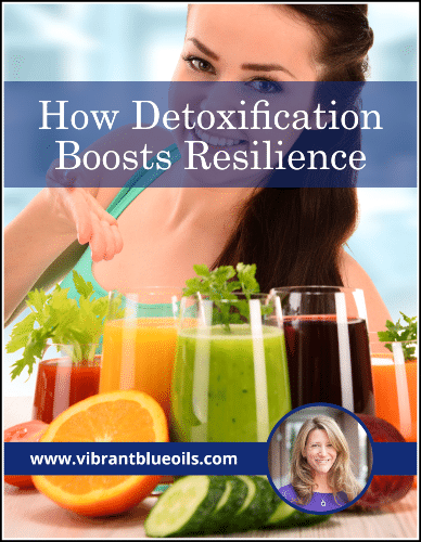 "How Detoxification Boosts Resilience" eGuide